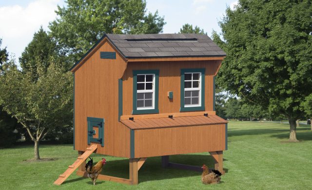 wooden chicken coop with green trimmings